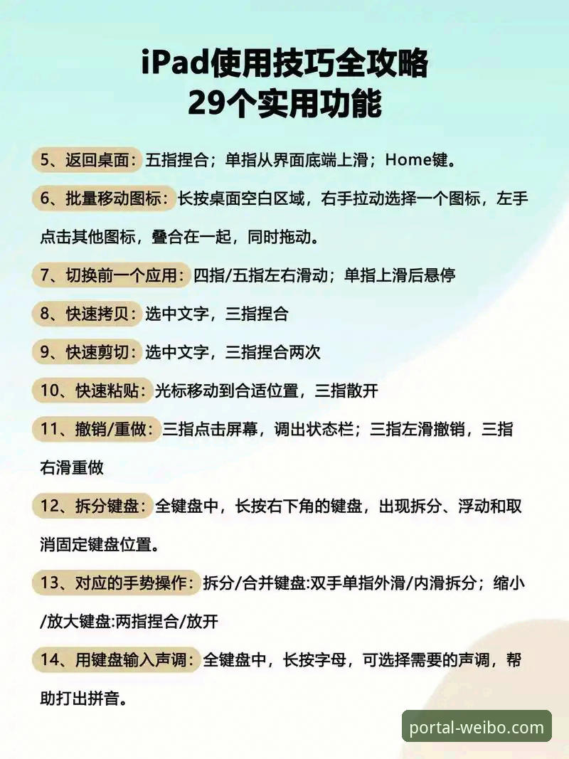 伟博体育平台官方下载与使用全攻略：资深用户分享实用技巧